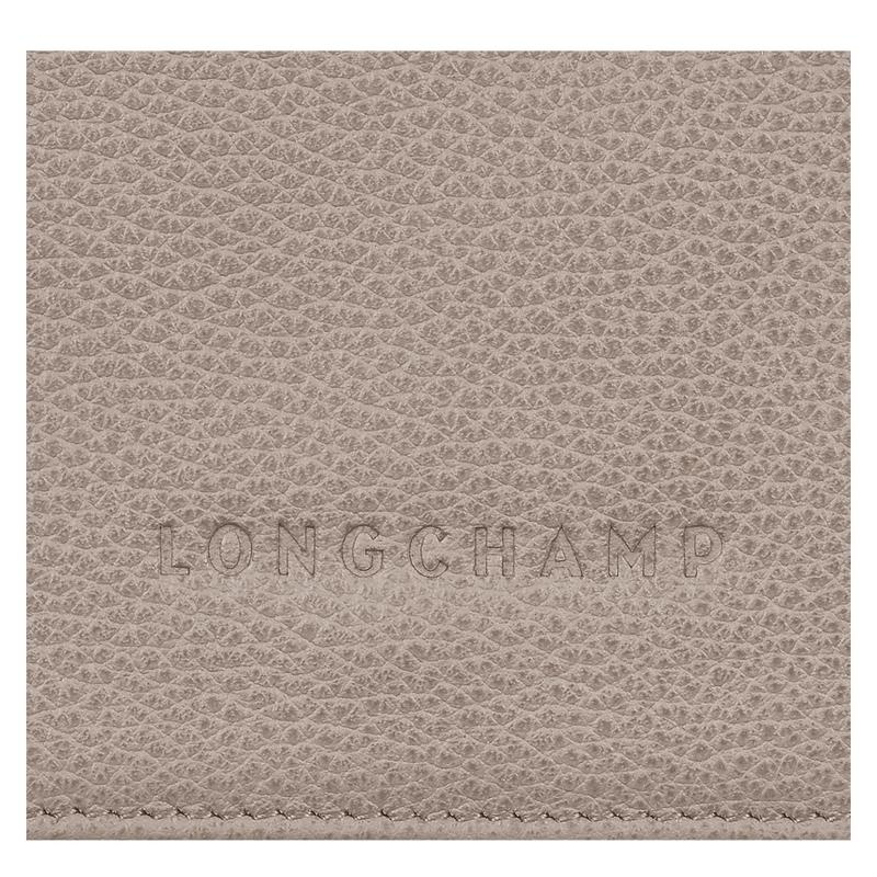 Turtledove Grey Longchamp Le Foulonné Women's Wallets | 03591-NEGI